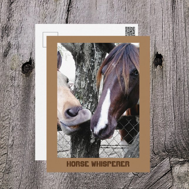 Carte Postale Cheval Whisperer Deux Chevaux Drôle photographique (Créateur téléchargé)