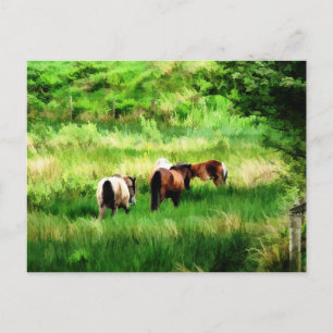 CARTE POSTALE CHEVAUX