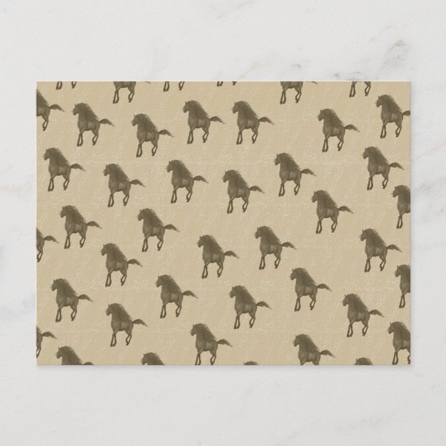 Carte Postale Chevaux (Devant)