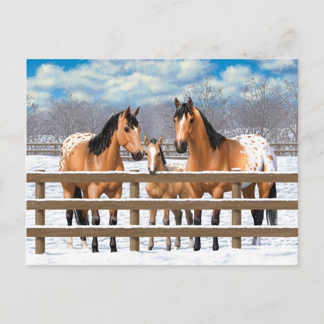 Carte Postale Chevaux Appaloosa En Peau De Bouche En Neige (Devant)