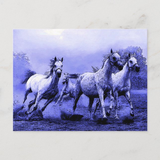 Carte Postale Chevaux au galop & Clair de lune bleu (Devant)