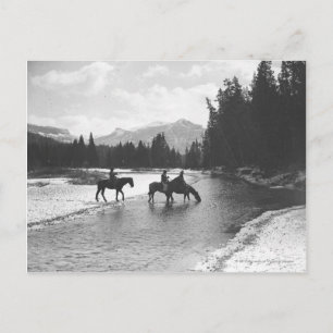 Carte Postale Chevaux buvant et traversant une rivière