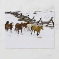 Chevaux courant dans la neige
