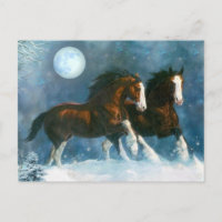 Chevaux Courant Dans La Neige