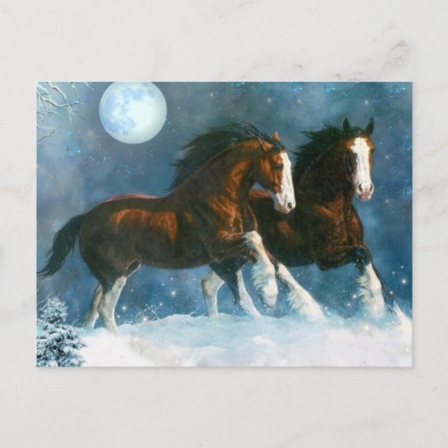 Carte Postale Chevaux Courant Dans La Neige (Devant)