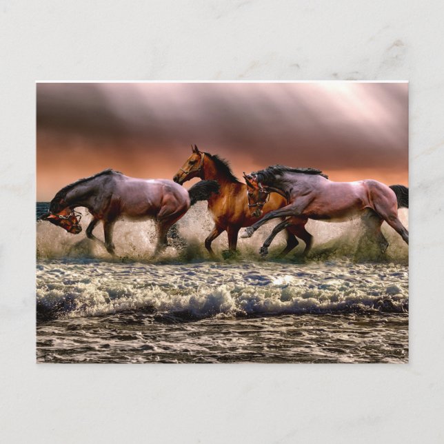 Carte Postale Chevaux courir dans les vagues océaniques Peinture (Devant)