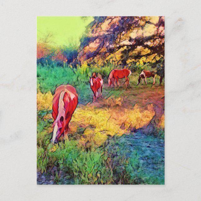 Carte Postale Chevaux dans un pâturage (Devant)