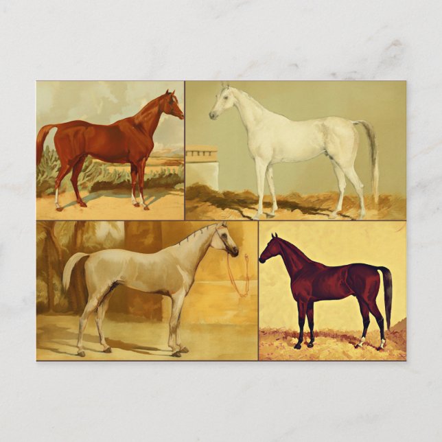 Carte Postale Chevaux d'Arabie vintage - collage (Devant)