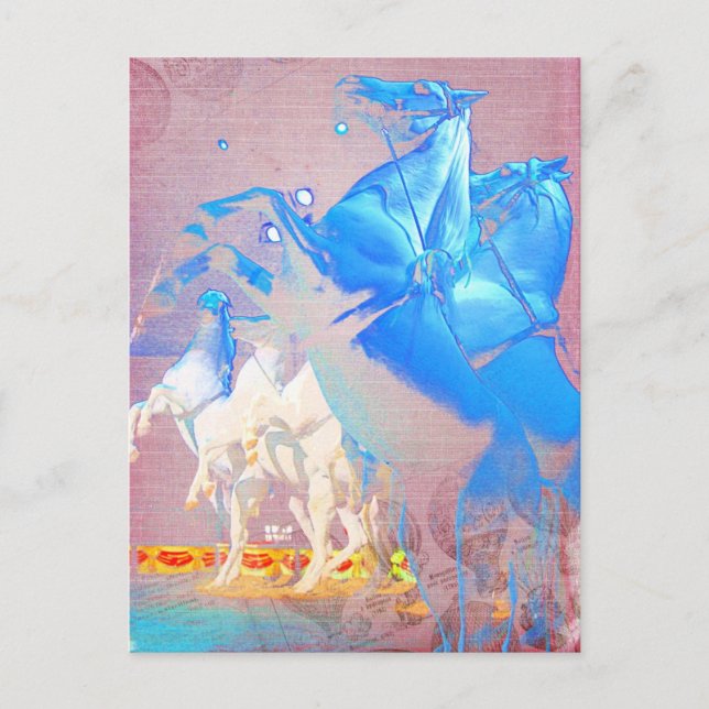 Carte Postale Chevaux d'Art numérique du cirque (Devant)