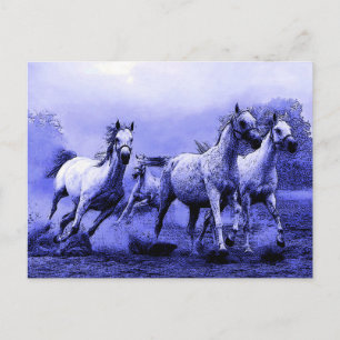 Carte Postale Chevaux de course et Lune bleue
