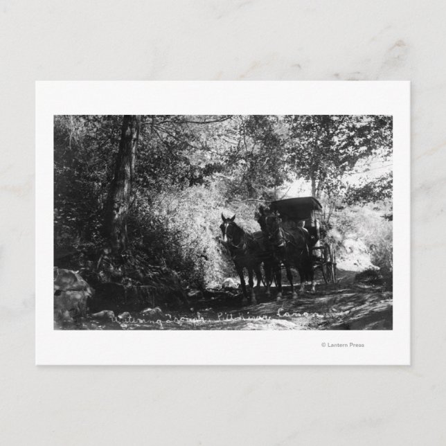 Carte Postale Chevaux de transport en panne (Devant)