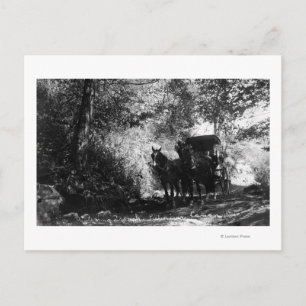 Carte Postale Chevaux de transport en panne