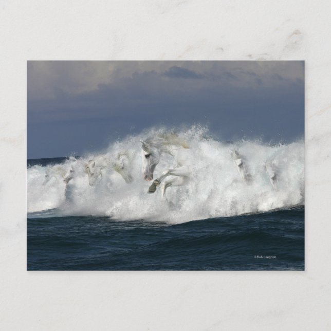 Carte Postale Chevaux d'Imaginaire : Mer (Devant)