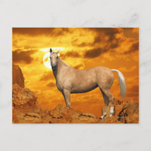 Carte Postale Chevaux d'Imaginaire : Montagne