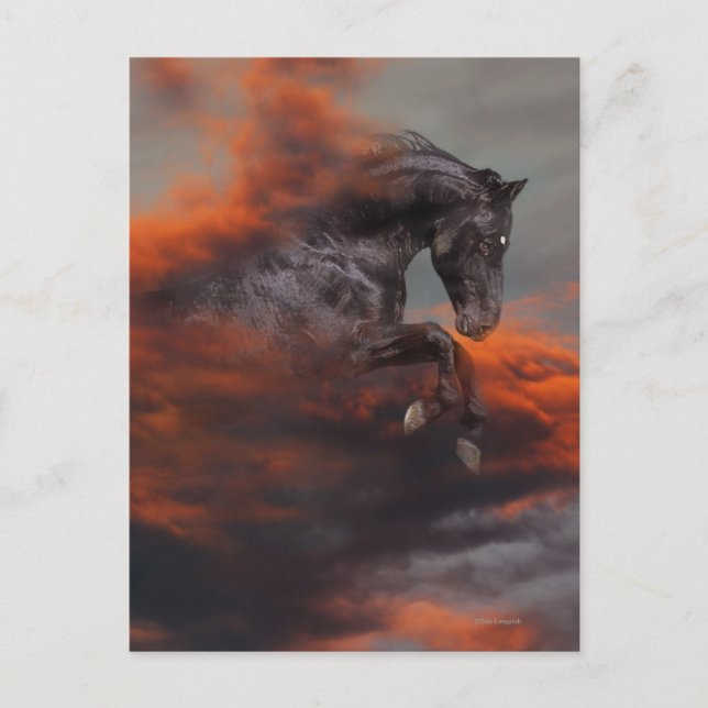 Carte Postale Chevaux d'Imaginaire : Nuages (Devant)