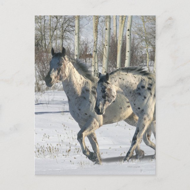Carte Postale Chevaux d'Imaginaire : Wonderland d'hiver (Devant)