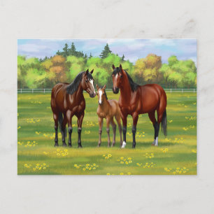 Carte Postale Chevaux Du Quartier De La Baie Brown Dans Les Pâtu