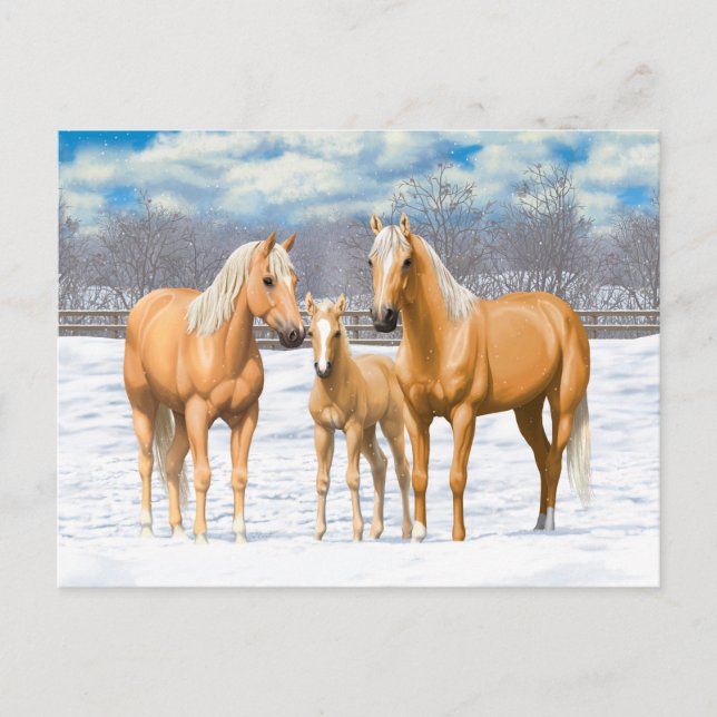 Carte Postale Chevaux Du Quartier Palomino En Neige (Devant)