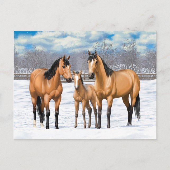 Carte Postale Chevaux En Peau De Bouche En Neige (Devant)