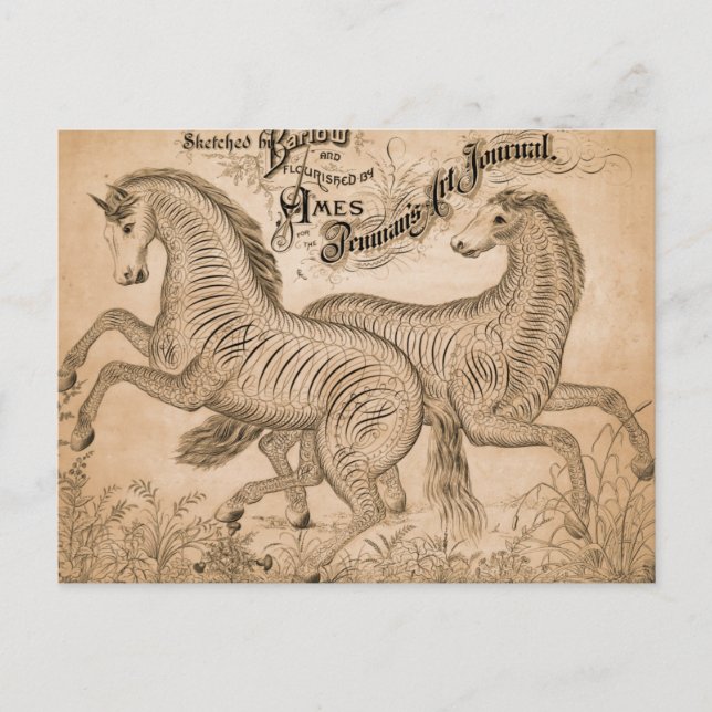 Carte Postale Chevaux Par Pénalité (Devant)