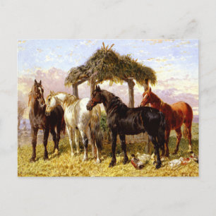 Carte Postale Chevaux par une rivière vers les années 1800