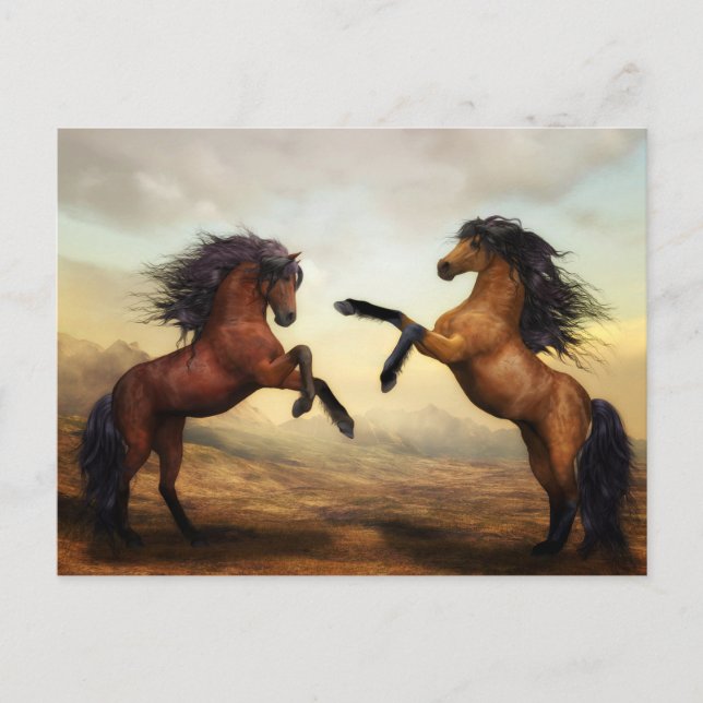 Carte Postale Chevaux sauvages (Devant)