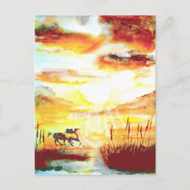 Carte Postale Chevaux sauvages. (Devant)