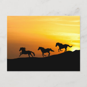 Carte Postale Chevaux sauvages courant au coucher du soleil- Che