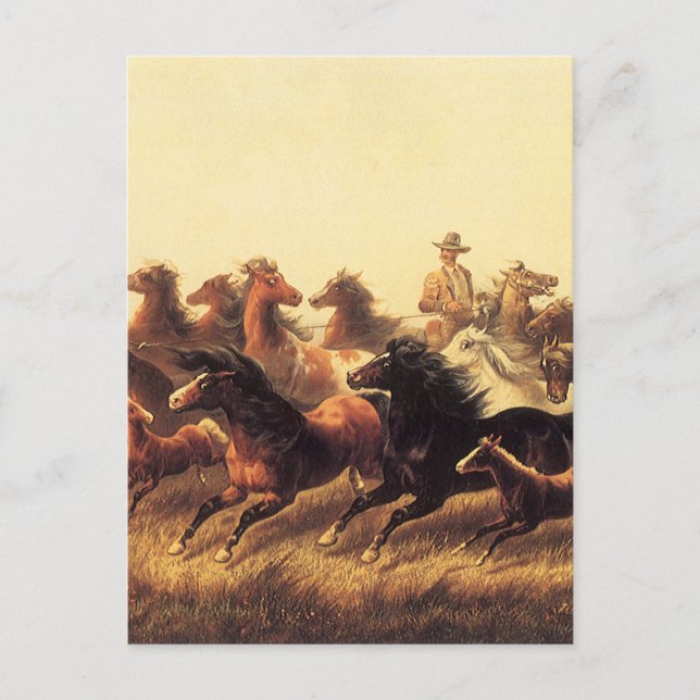 Carte Postale Chevaux sauvages de course par James Walker (Devant)