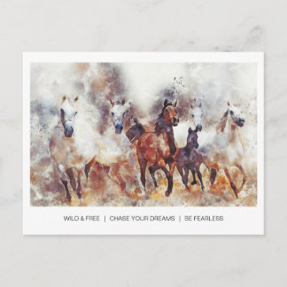 Carte Postale Chevaux sauvages et libres