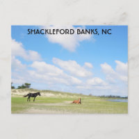 Chevaux sauvages Shackleford Banks Caroline du Nor