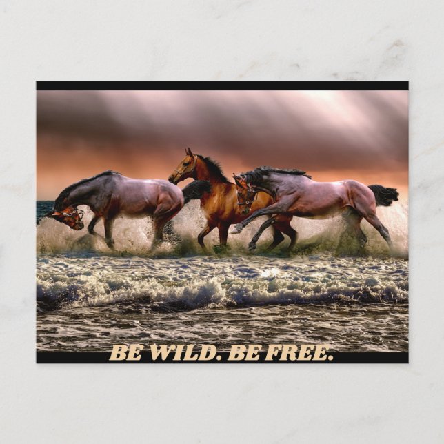 Carte Postale Chevaux sauvages - soyez sauvages. soyez libres. (Devant)