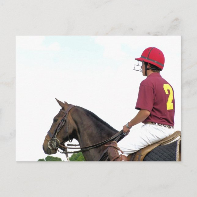 CARTE POSTALE CHEVAUX SPORTIFS (Devant)