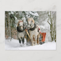 Chevaux Transporteurs d'hiver Diapositive Passage