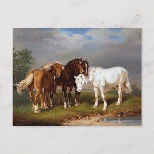 Carte Postale Chevaux vers 1864