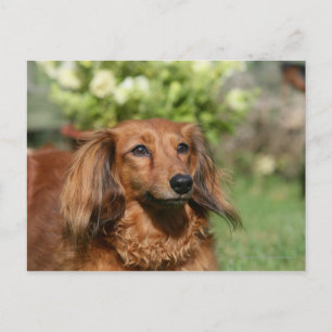 Carte Postale Cheveux miniature rouge
