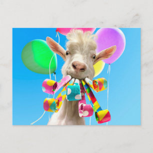 Carte Postale Chèvre avec des pétards de fête