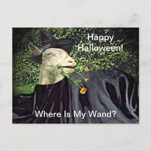 Carte Postale Chèvre de l'Assistant Halloween (Devant)
