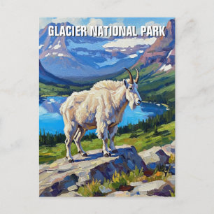 Carte Postale Chèvre de montagne dans le parc national Glacier V