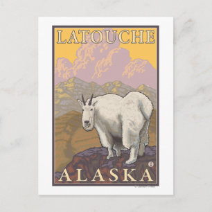 Carte Postale Chèvre de montagne - Latouche, Alaska