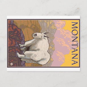 Carte Postale Chèvre de montagne - Montana