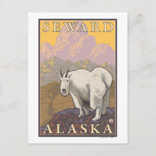 Carte Postale Chèvre de montagne - Seward, Alaska