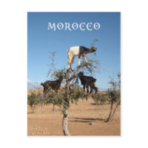 Chèvres amusantes dans un arbre