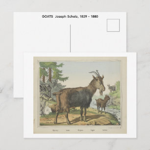 Carte Postale CHÈVRES Joseph Scholz, 1829 - 1880