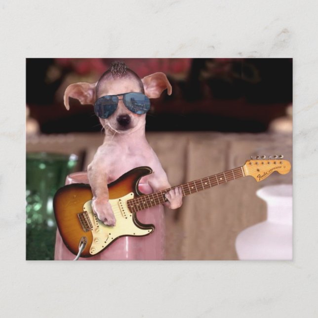 Carte Postale Chi Chi le joueur de guitare (Devant)