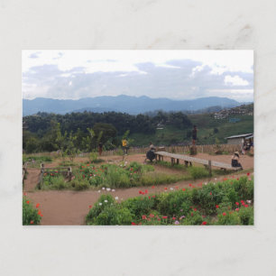 Carte Postale Chiang Mai