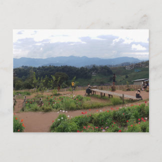 Carte Postale Chiang Mai