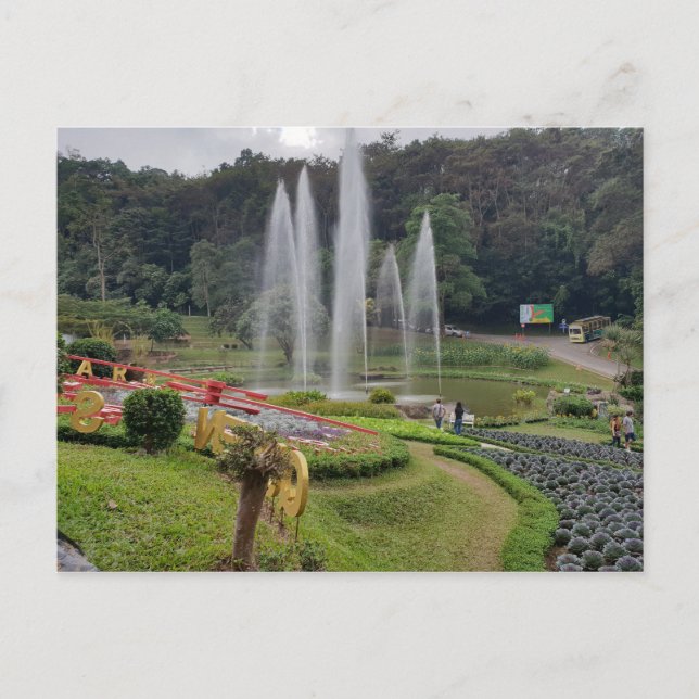 Carte Postale Chiang Mai Thaïlande Garden (Devant)