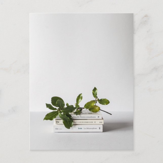 Carte Postale chic mini of booaniary (Devant)