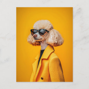Carte Postale Chic Poodé en lunettes de soleil et manteau jaune